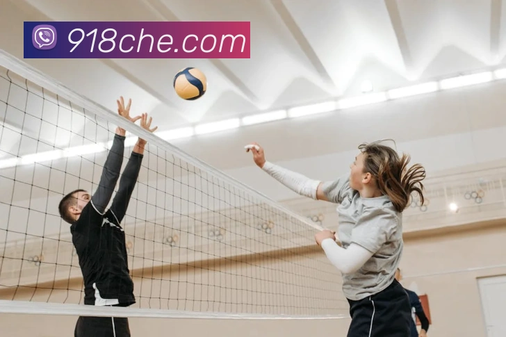 918博天堂APP 高清赛事图